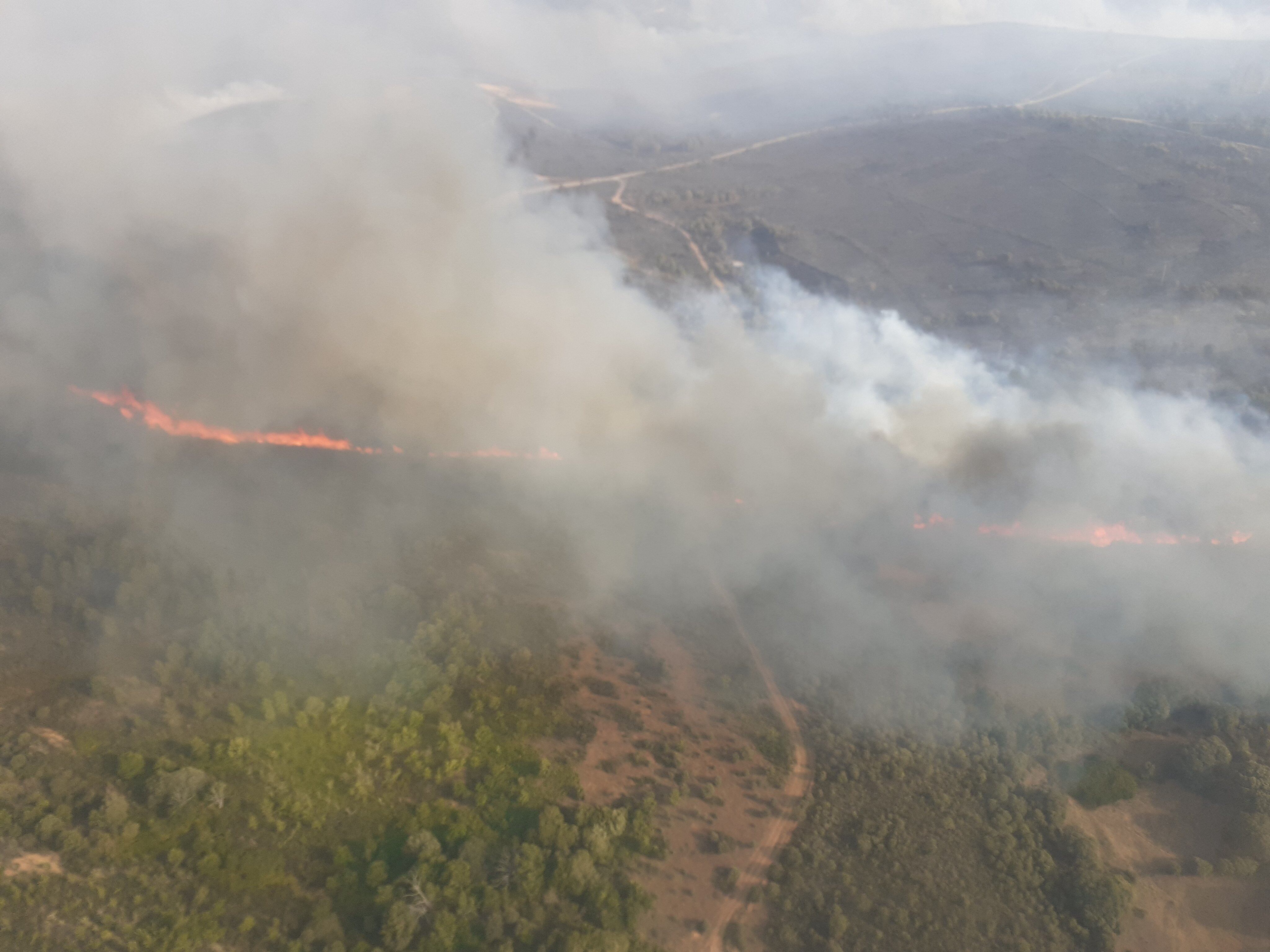 Imagen del incendio de Ferreruela