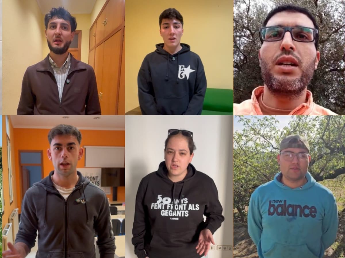 Cerca de 200 jóvenes agricultores de Castellón aún esperan las ayudas de la Conselleria tres meses después de su fecha de resolución