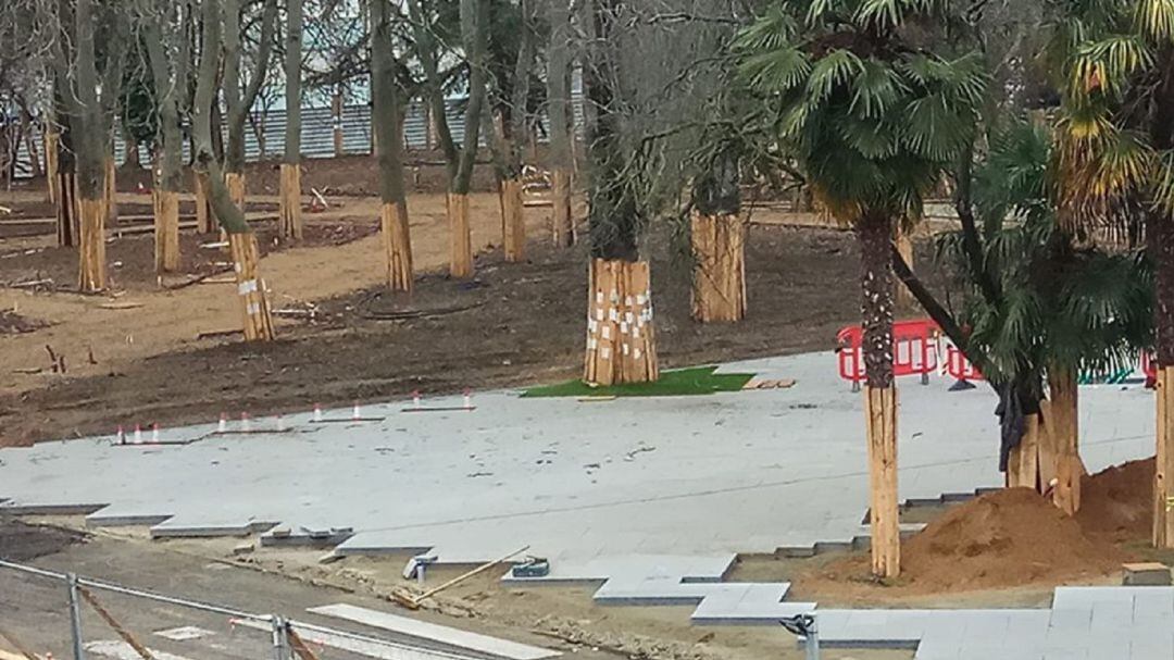 Árboles protegidos en el parque de Jardinillos de Palencia