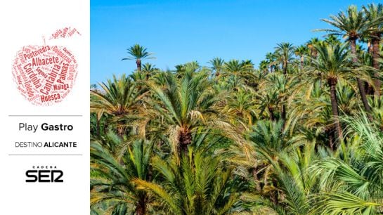 Bosque de palmeras (Elche).