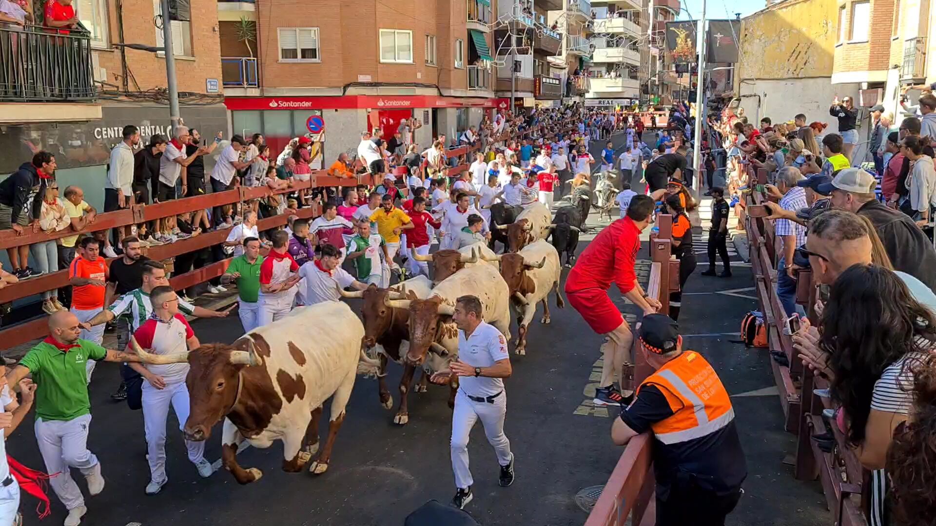 Primer encierro de las fiestas de San Sebastián de los Reyes 2023