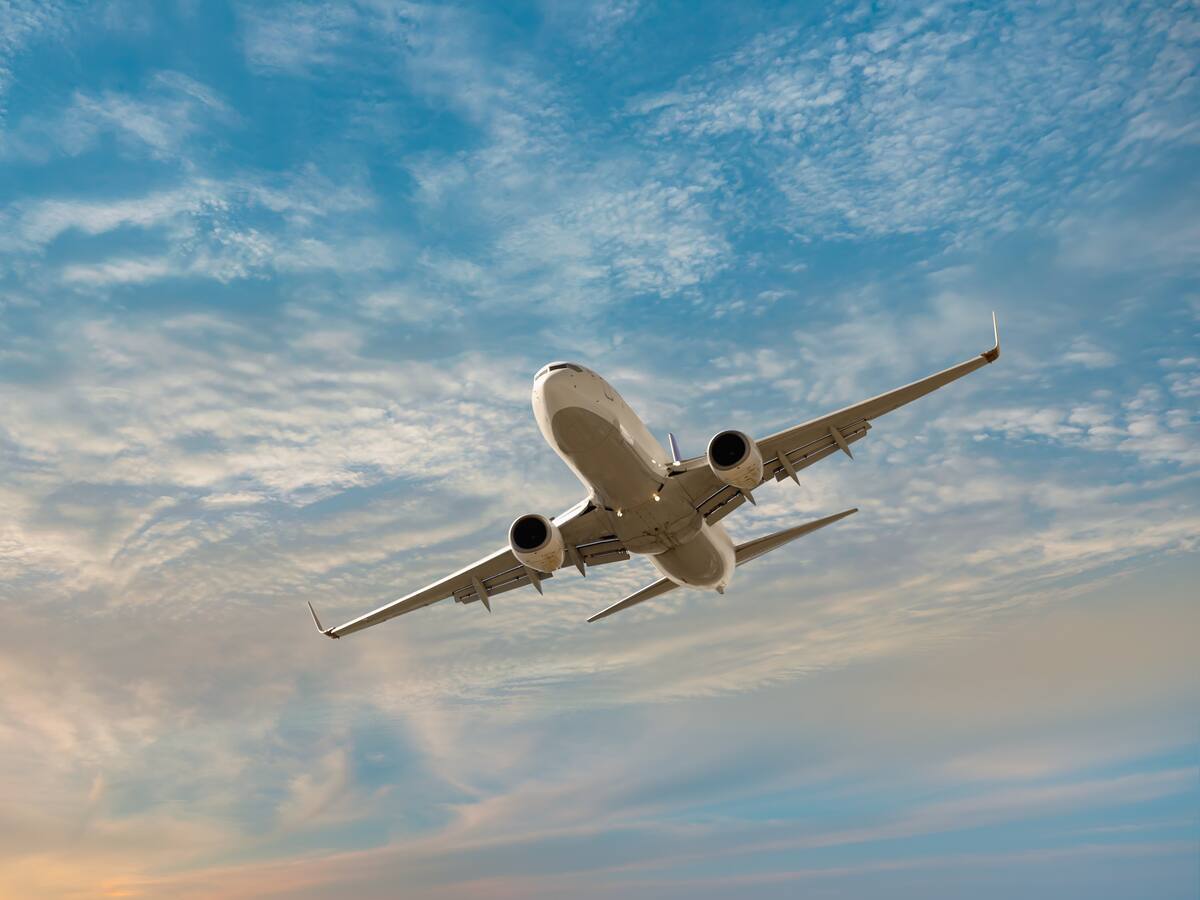 "Su plan de viaje era emitir 400 kilos de dióxido de carbono frente a las 3,5 toneladas": la historia de un investigador que fue despedido por no llegar a tiempo