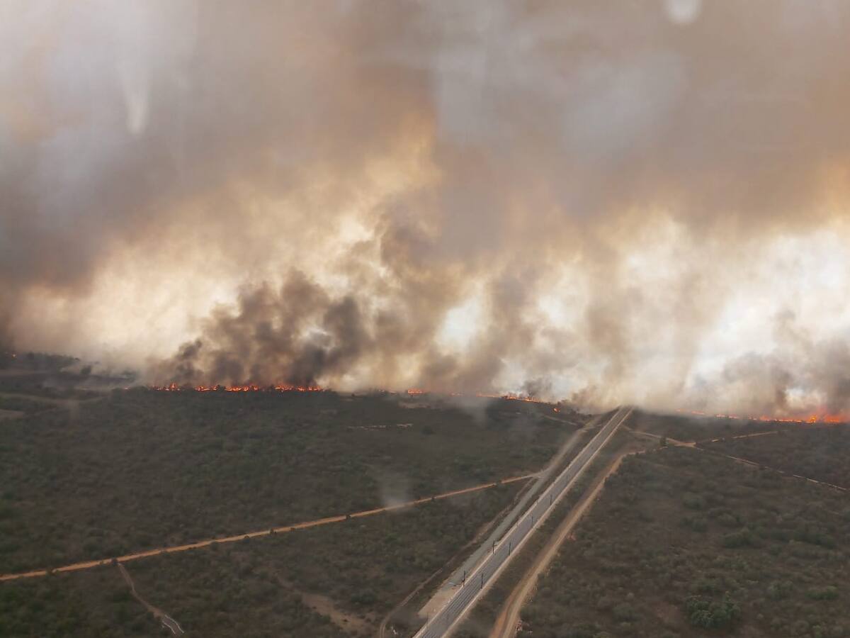 Son más de 25.000 hectáreas las calcinadas en la Sierra de la Culebra, en el que es ya el mayor incendio del siglo en Castilla y León