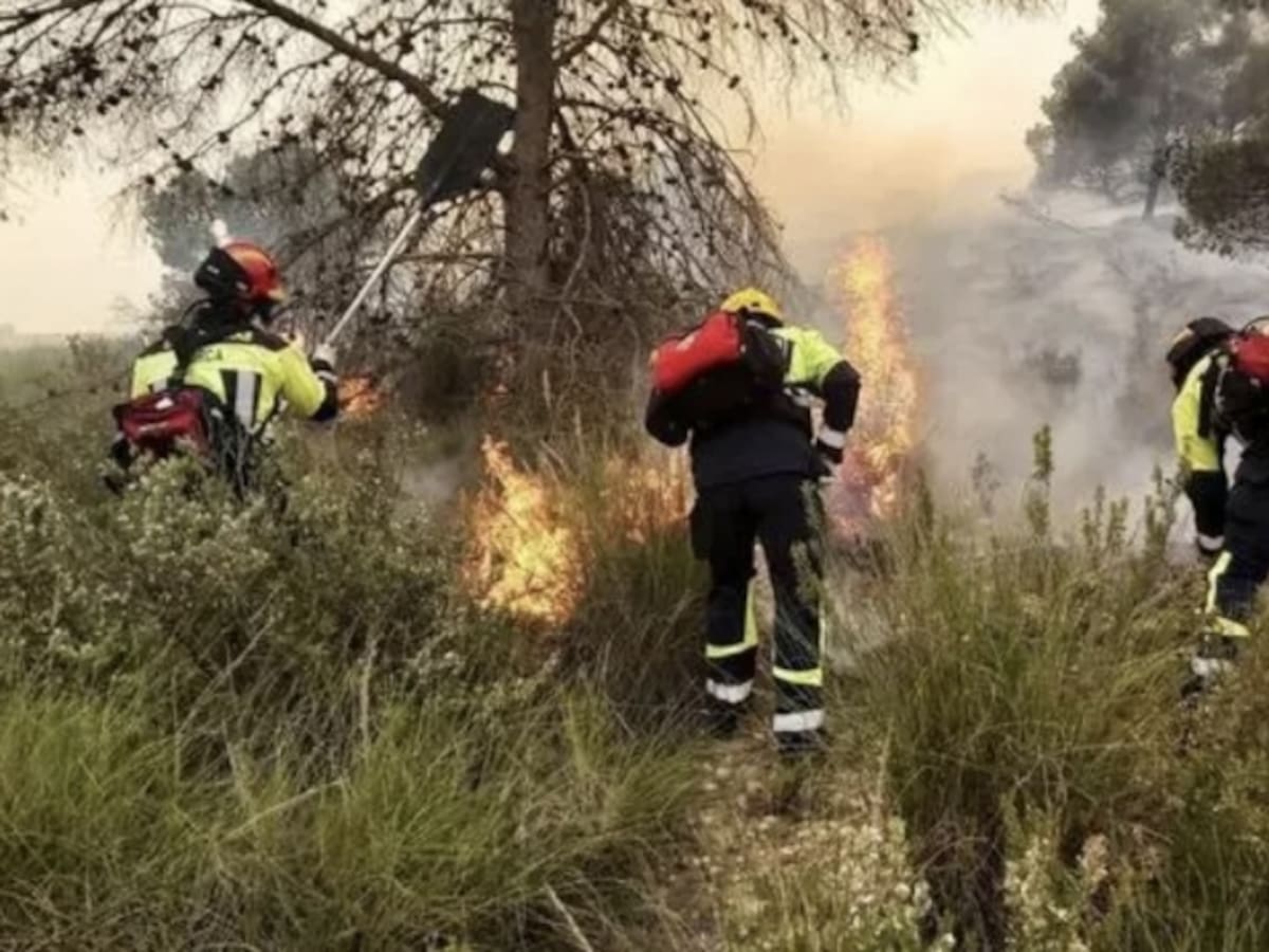 Javier Andreo, alcalde de Aledo.