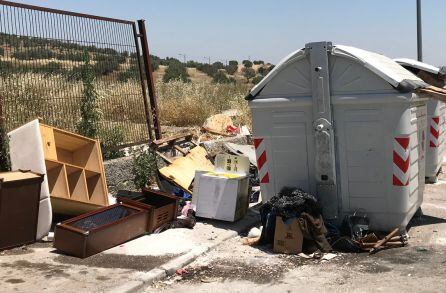 Basura acumulada en el Polígono de Los Olivares de Jaén.