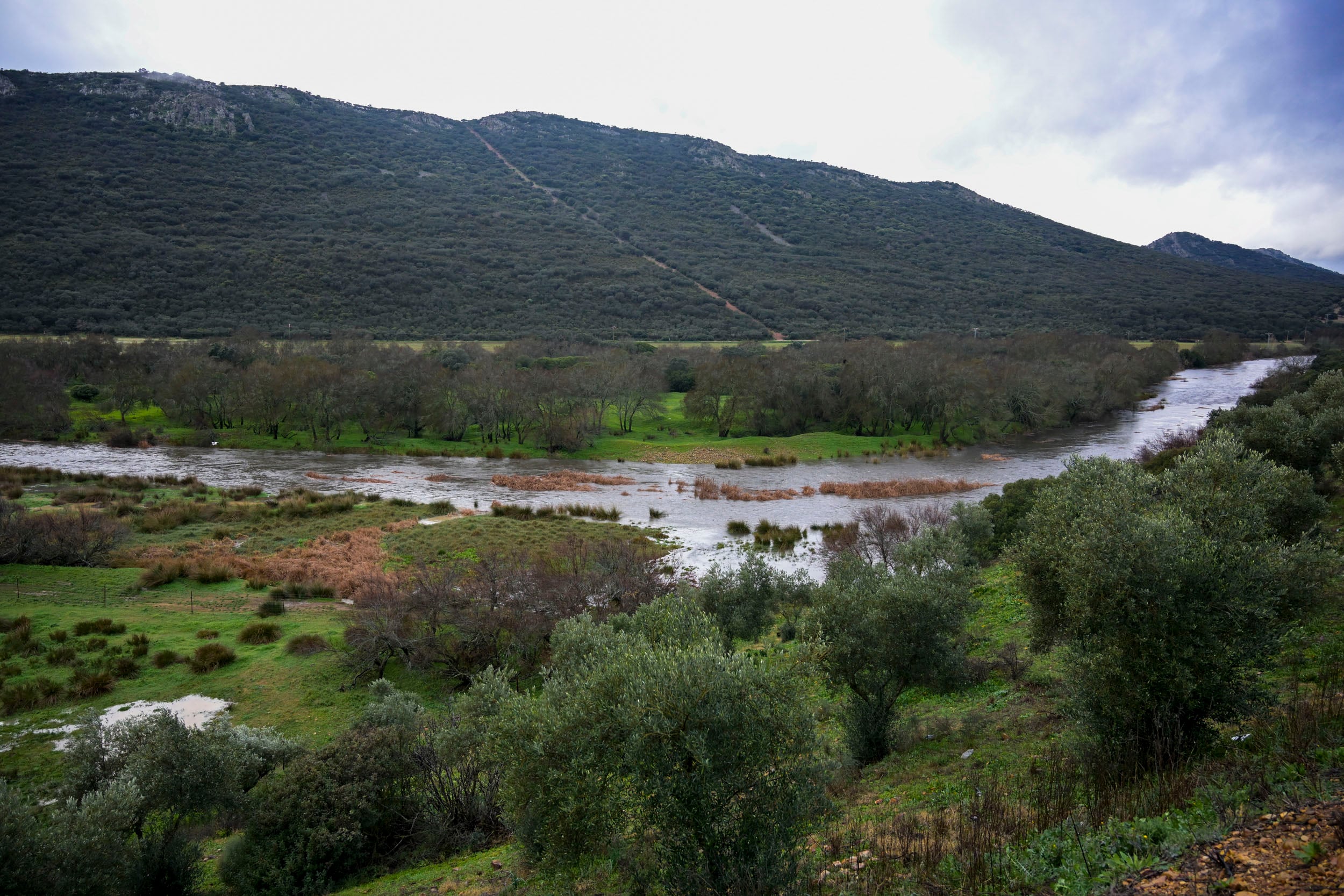 LUCIANA (CIUDAD REAL), 19/01/2024.- El tren de borrascas de procedencia atlántica que afecta esta semana a prácticamente todo el país ha provocado el crecimiento de algunos de los principales ríos de la cuenca del Guadiana en la provincia de Ciudad Real, entre los que destaca las crecidas de los ríos Guadiana y Bullaque a su paso por Puebla de Don Rodrigo y Luciana, respectivamente. EFE/Jesús Monroy
