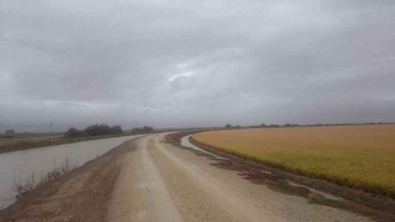 Las lluvias dejan daños en cultivos hortícolas y obligan a recurrir a la fumigación aérea.