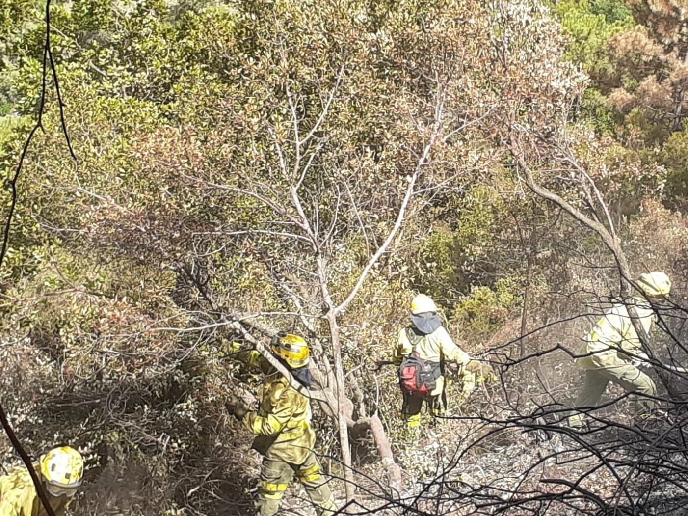 Incendio de Sierra Bermeja. Infoca