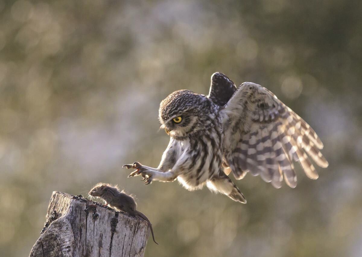 Fotografía realizada por Miguel Ángel