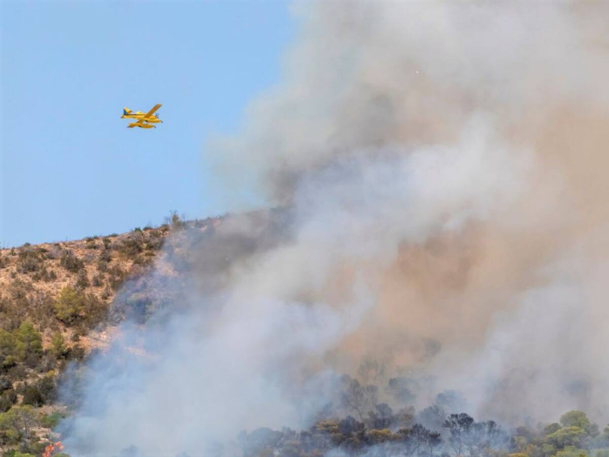 El incendio de Sant Antoni no fue provocado, según los investigadores