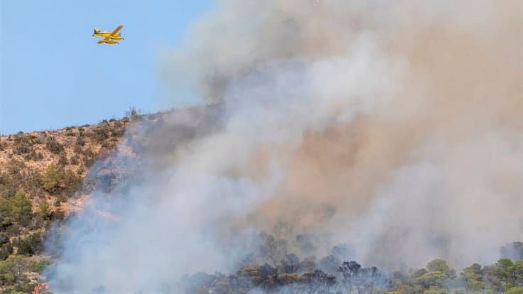 El incendio de Sant Antoni no fue provocado, según los investigadores
