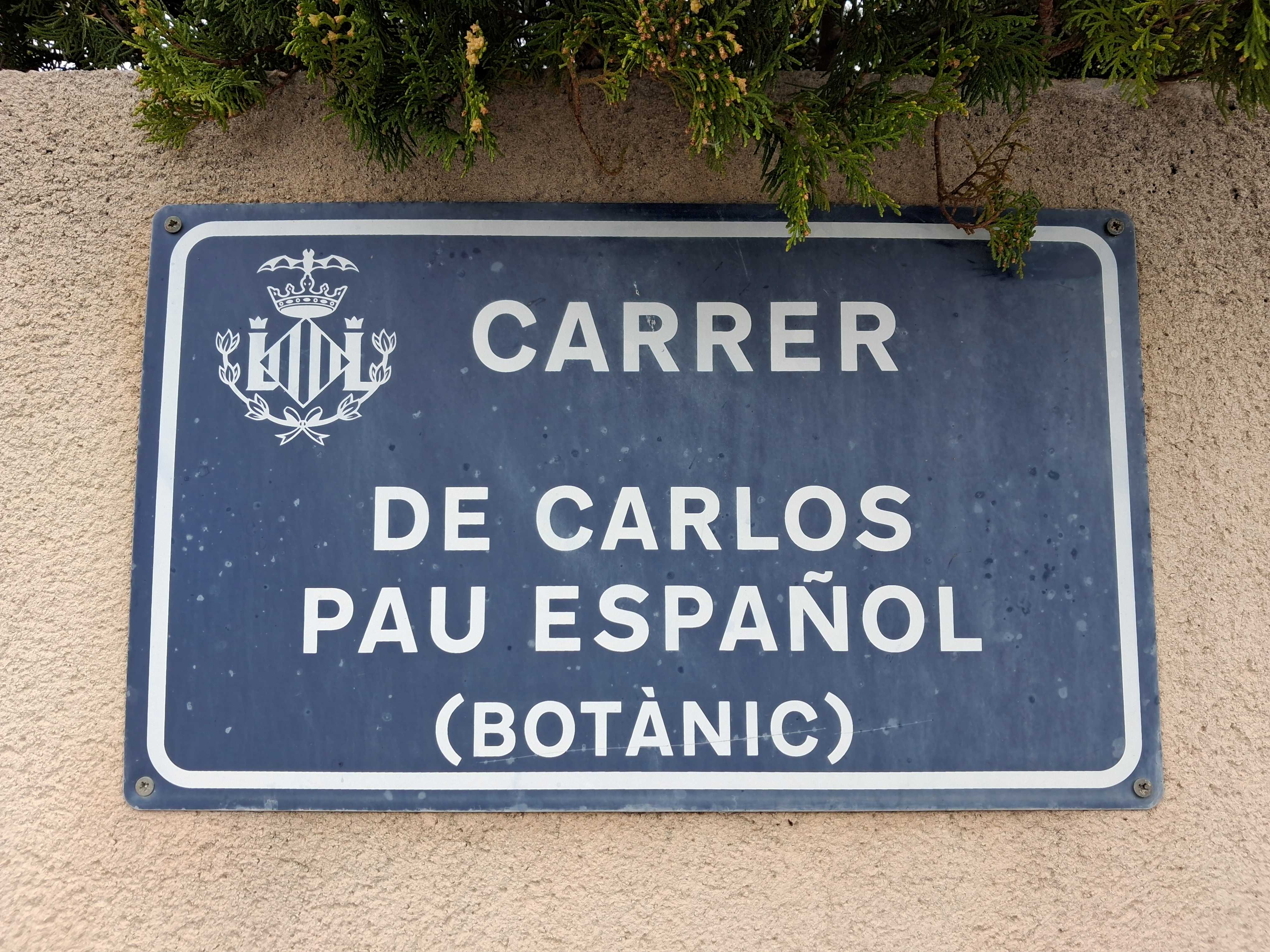 La calle del botánico Carlos Pau y el chalet de Sancho