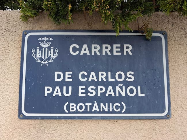 La calle del botánico Carlos Pau y el chalet de Sancho