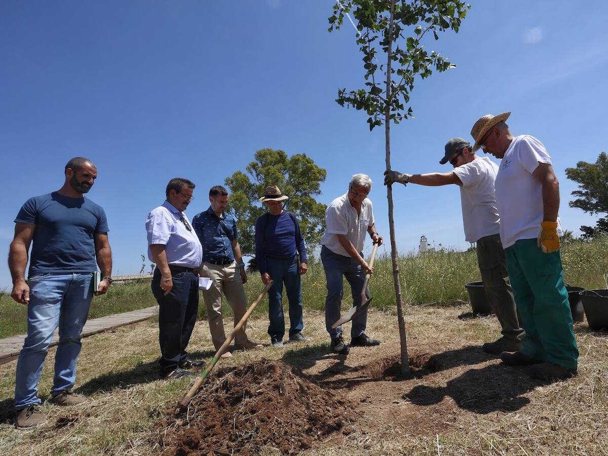 Espai Natzaret incorporará un mirador al mar, zonas de sombra y huertos urbanos