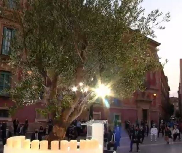 Olivo que recordará a ñas victimas del Covid-19