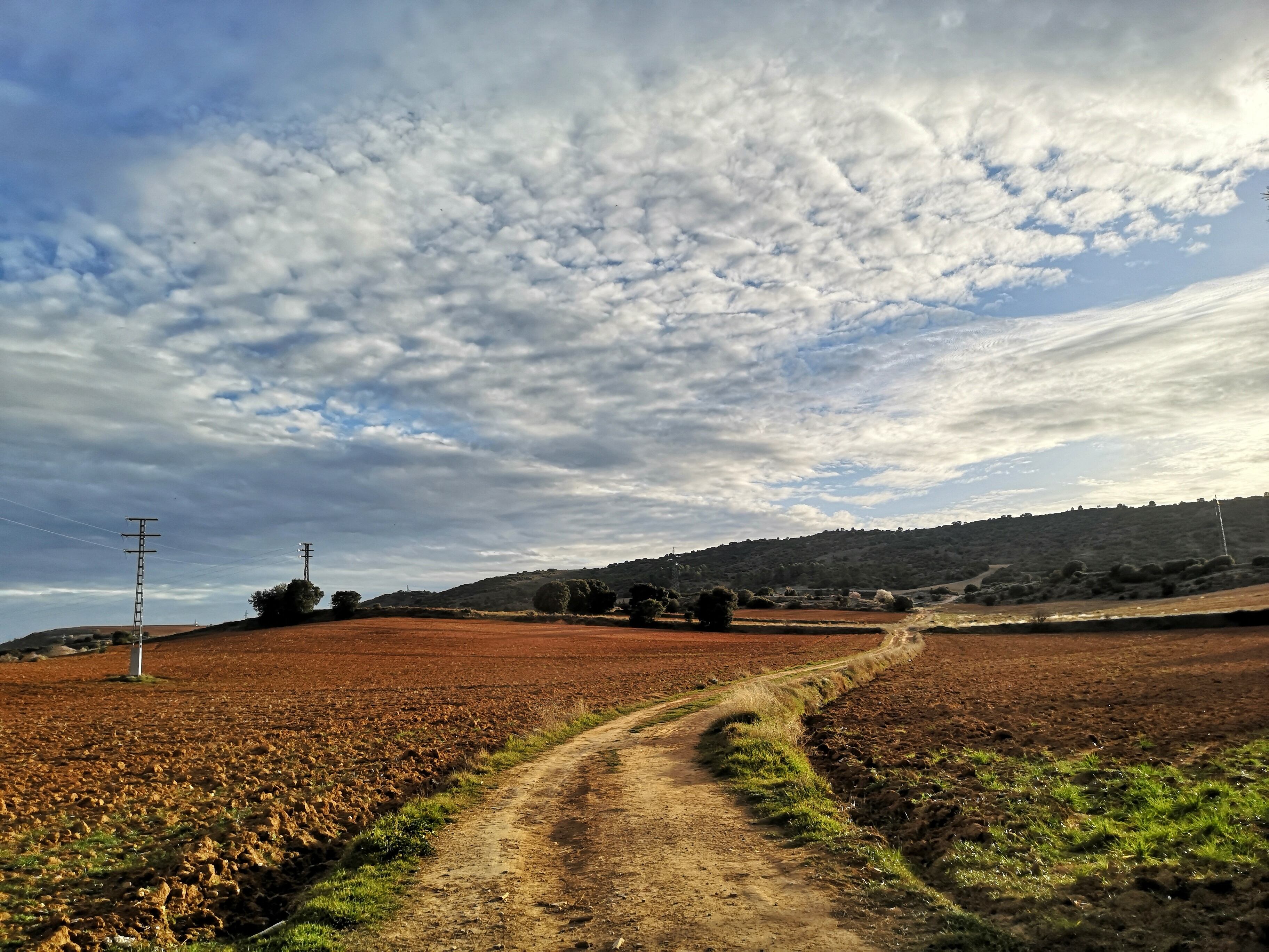 El camino asciende entre campos de cultivo.