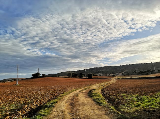 El camino asciende entre campos de cultivo.