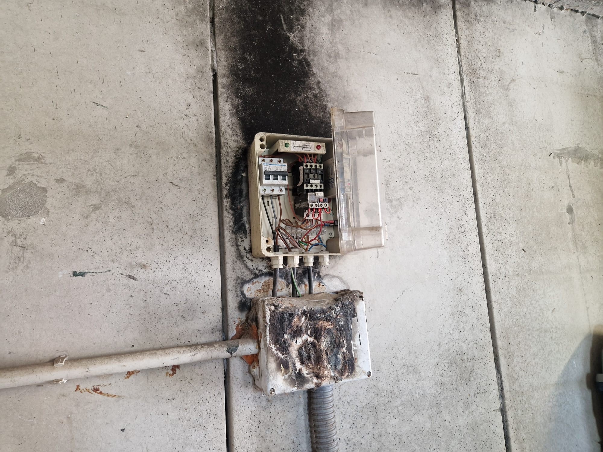 IU ha recogido imágenes de algunos de los elementos que hay que mejorar en las instalaciones de la protectora de animales de Palencia