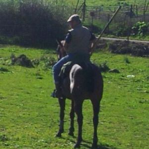 Luis Rivera, propietario de la ganadería San Miguel, a caballo en su finca de Jimena de la Frontera.