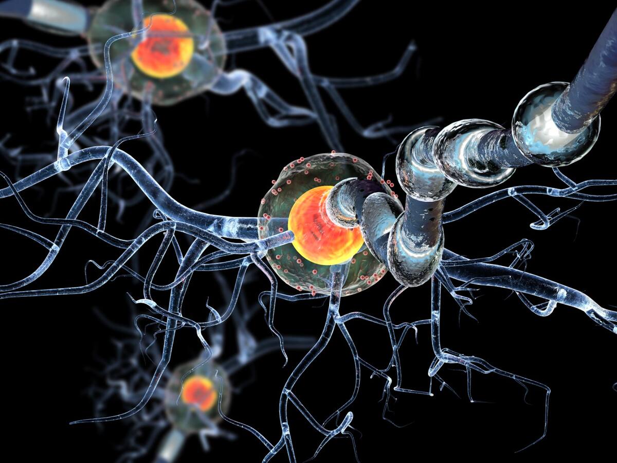 REPORTATGE. "No tots els pacients amb malalties autoimmunes tenim els mateixos símptomes"