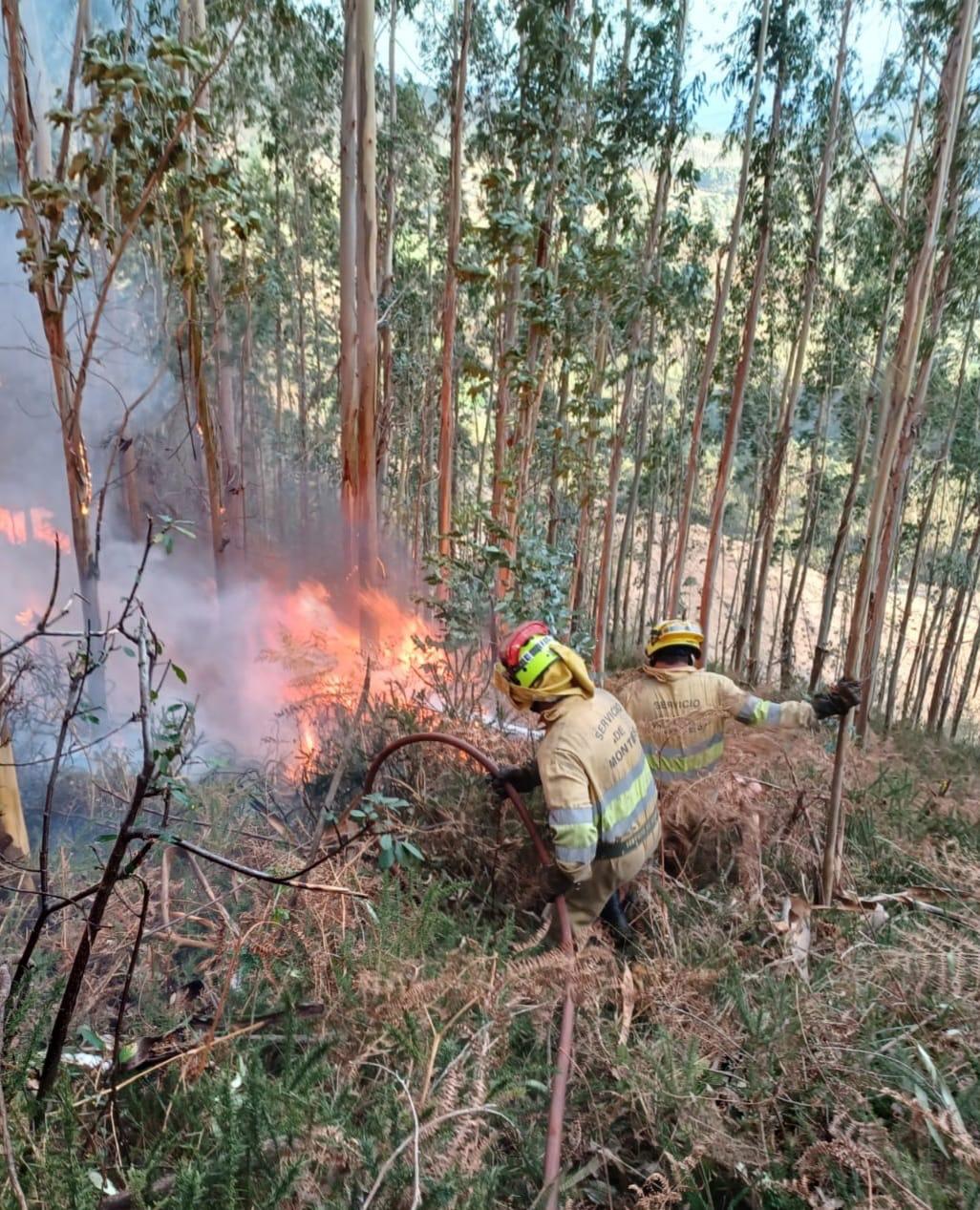 Operarios trabajando para sofocar un incendio forestal en Cantabria