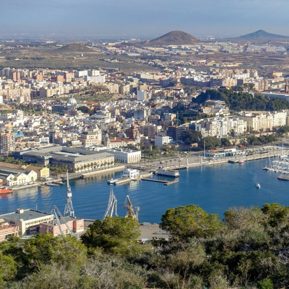 "Los que vivimos otra Cartagena no sé cómo estamos vivos": El concejal Braqueháis sobre la calidad del aire