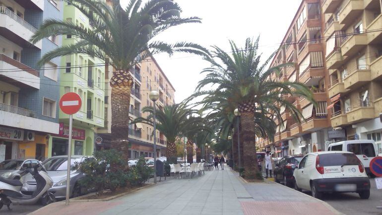 Tramo del paseo del Saladar en Dénia, entre las calles Pedreguer y Sagunto.