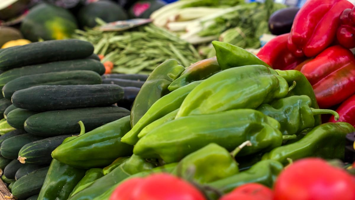 Fernando Móner, presidente de AVACU en Hoy por Hoy Alicante