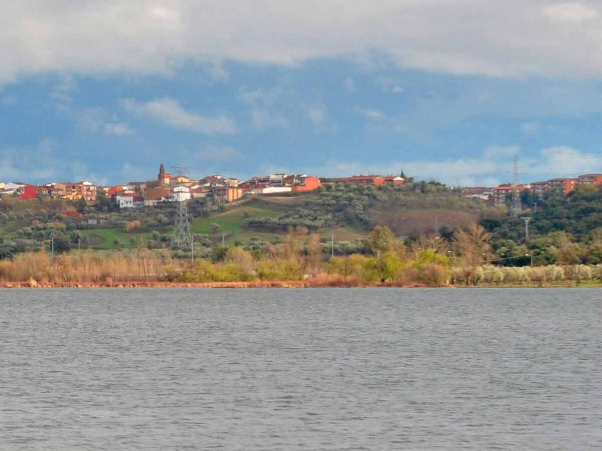 El alcalde de Cazalegas: "todos los años cuando hay altas temperaturas ocurre esto"
