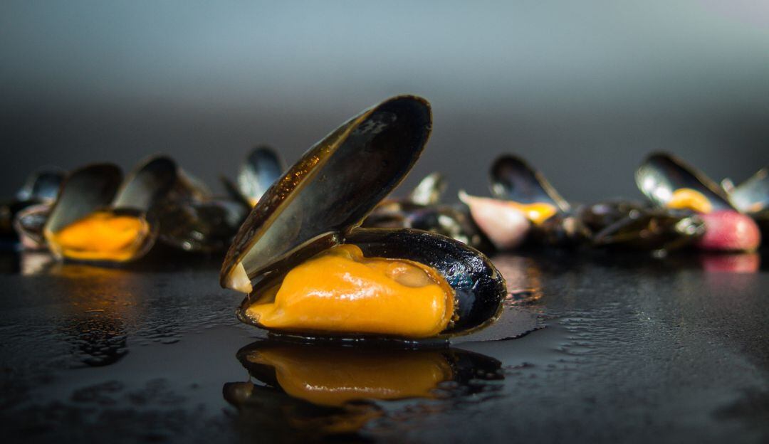 Mejillones de bouchot