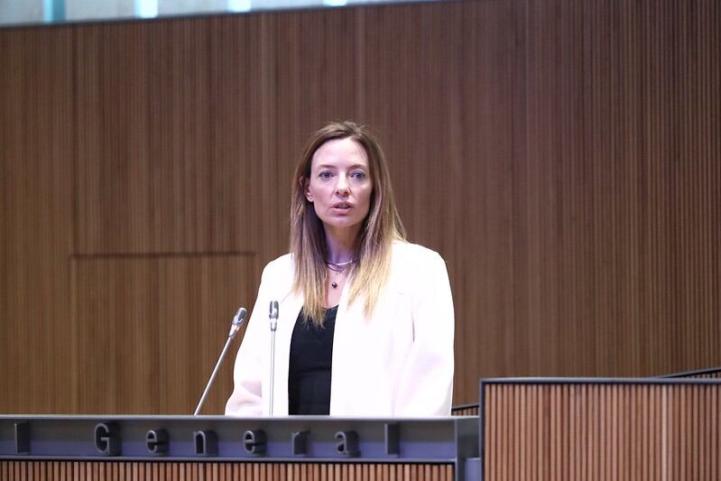 La ministra de Salut, Helena Mas, durant la seva intervenció