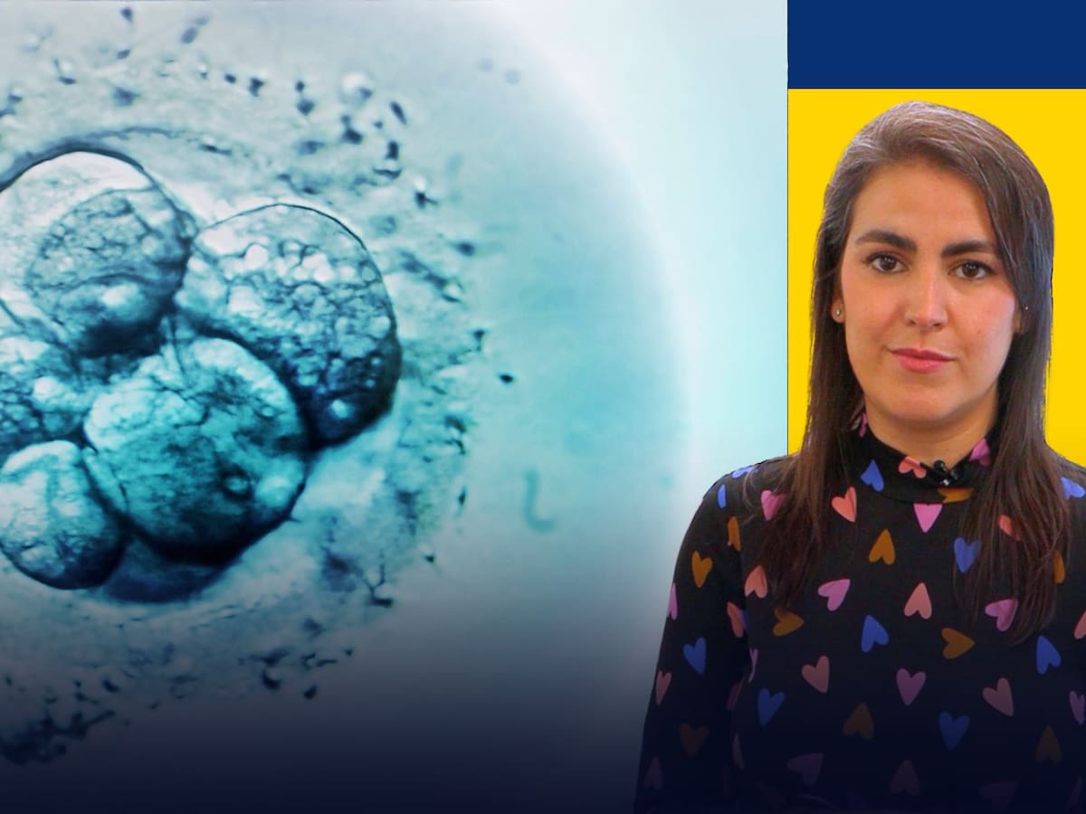 El problema de la acumulación disparada de óvulos en España llega al Congreso