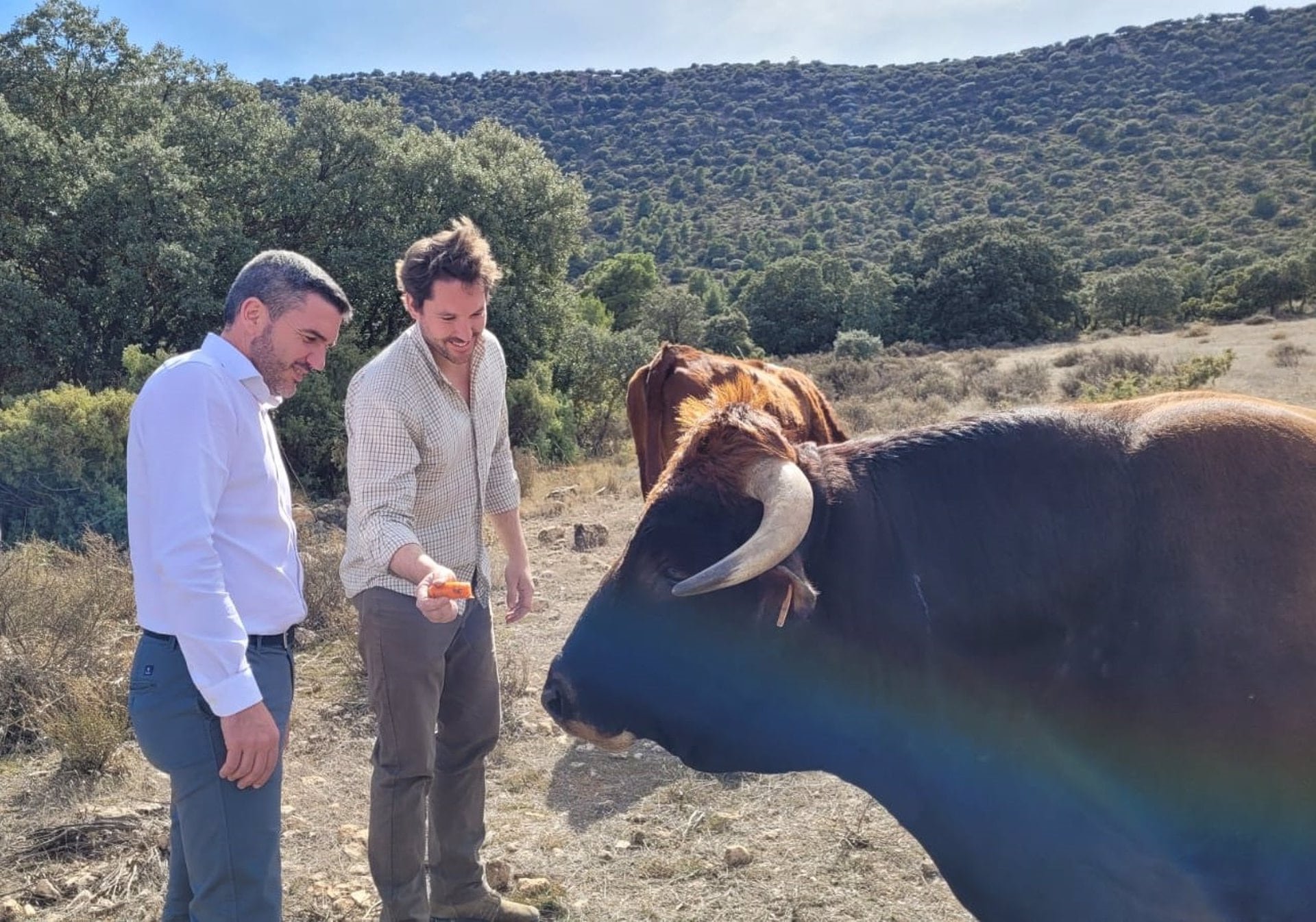 El consejero Antonio Luengo, durante su visita a la finca La Junquera