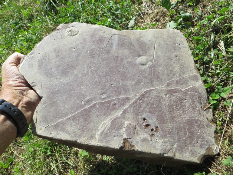 Hallazgo de un posible primer plano urbano vasco de la prehistoria en el poblado de Basagain, en Anoeta. 