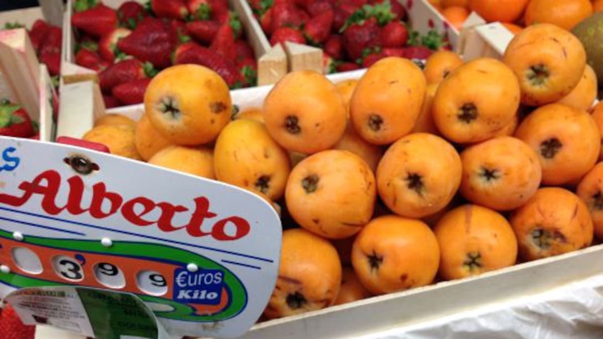 Andrés Llorca, presidente de la Cooperativa de Callosa, valora la última campaña y la actualidad del níspero