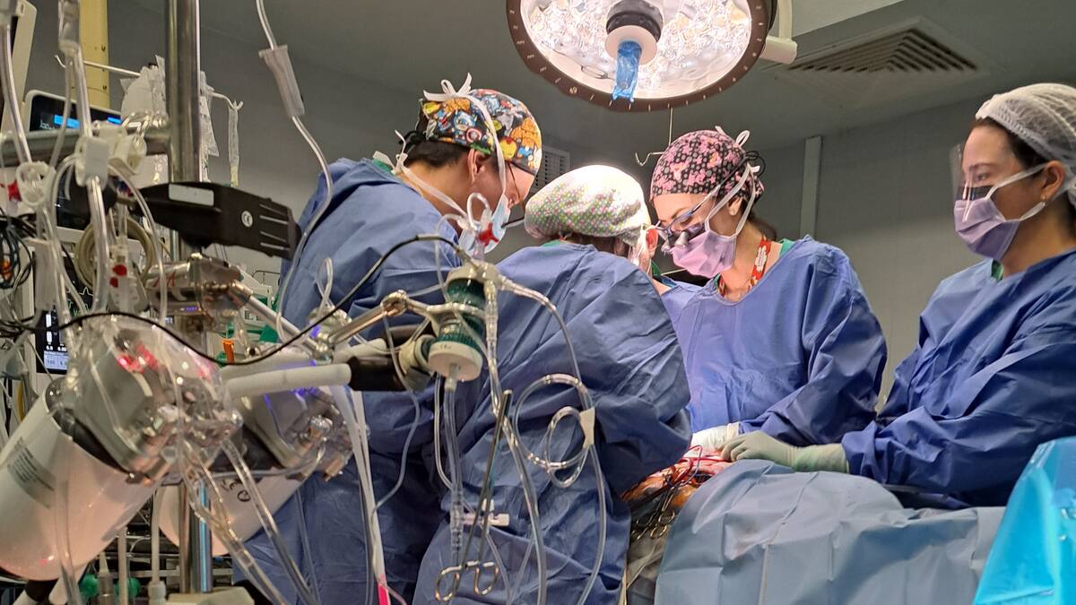 Migue Perdiguero y Marian Miralles, de la Unidad de Coordinación de Trasplantes del Hospital General de Alicante Doctor Balmis, en Hoy por Hoy Alicante