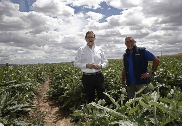 Mariano Rajoy, junto al campo de alcachofas durante su visita a una finca de cultivo en Tudela. 