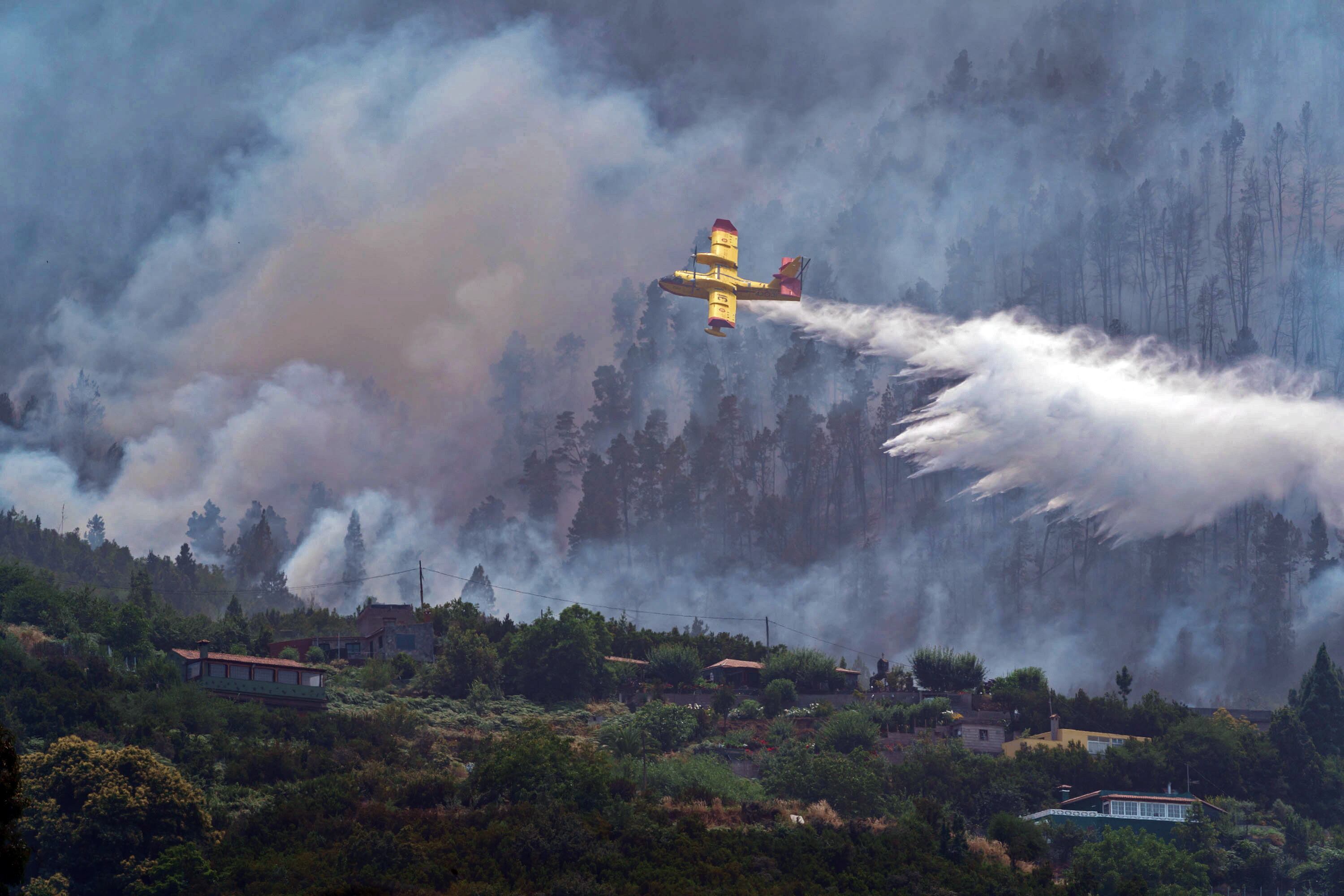 El operativo que lucha contra el incendio forestal que comenzó el jueves en Tenerife ha decidido la evacuación preventiva de medio centenar de viviendas, unas 40 en la zona de Las Llanadas y unas siete en el barrio de La Florida, en el término municipal de Los Realejos, por la cercanía del fuego, que se encuentra a unos 900 metros. El presidente del Cabildo de Tenerife, Pedro Martín, ha indicado que los residentes serán trasladados al pabellón de San Juan de la Rambla, y desde allí se les buscará otra ubicación. En la imagen, uno de los hidroaviones que participan en el operativo descarga agua sobre el incedio. EFE/ Ramón De La Rocha
