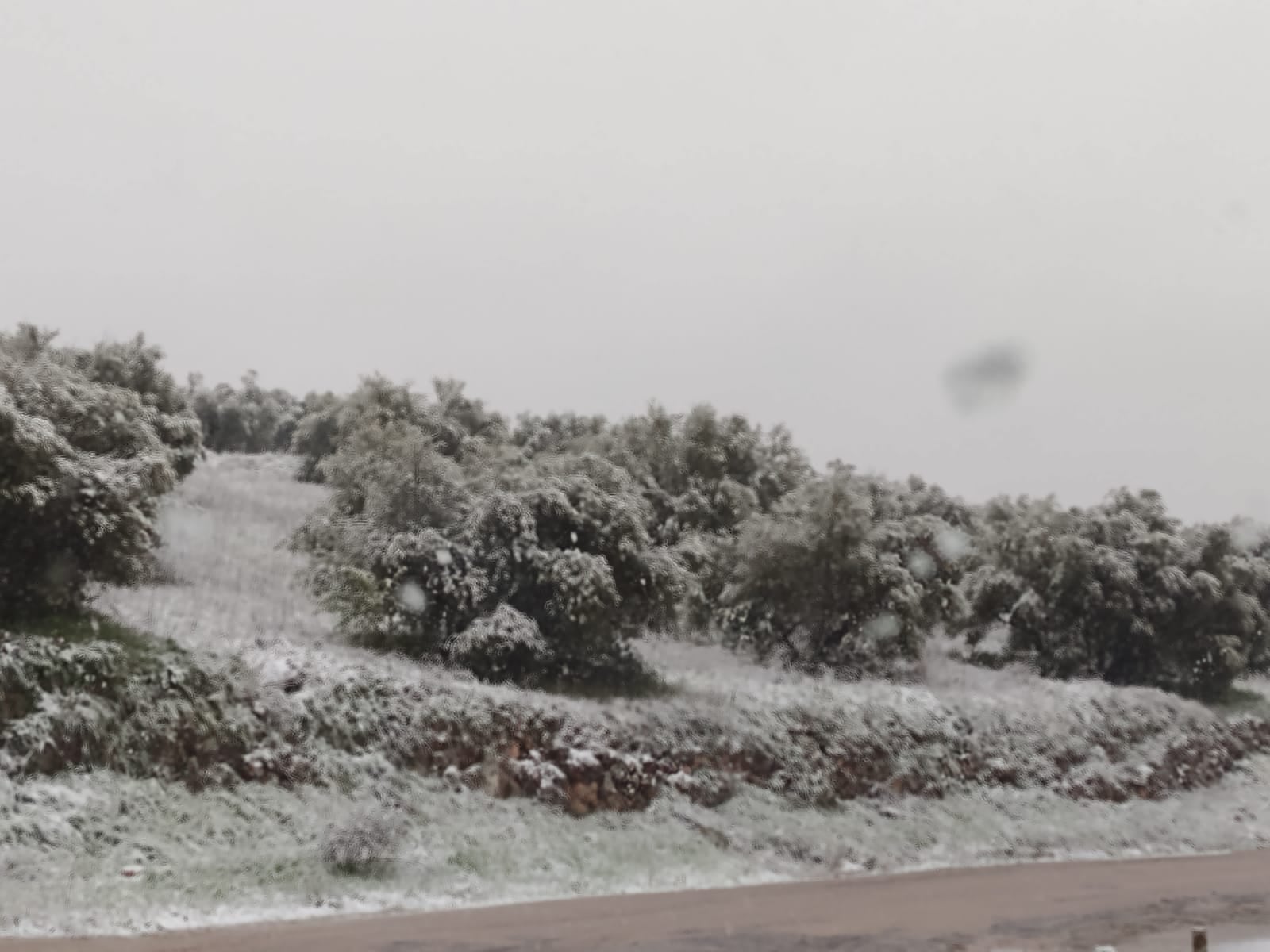 Imagen de la nevada en la localidad ciudadrealeña de Villanueva de la Fuente