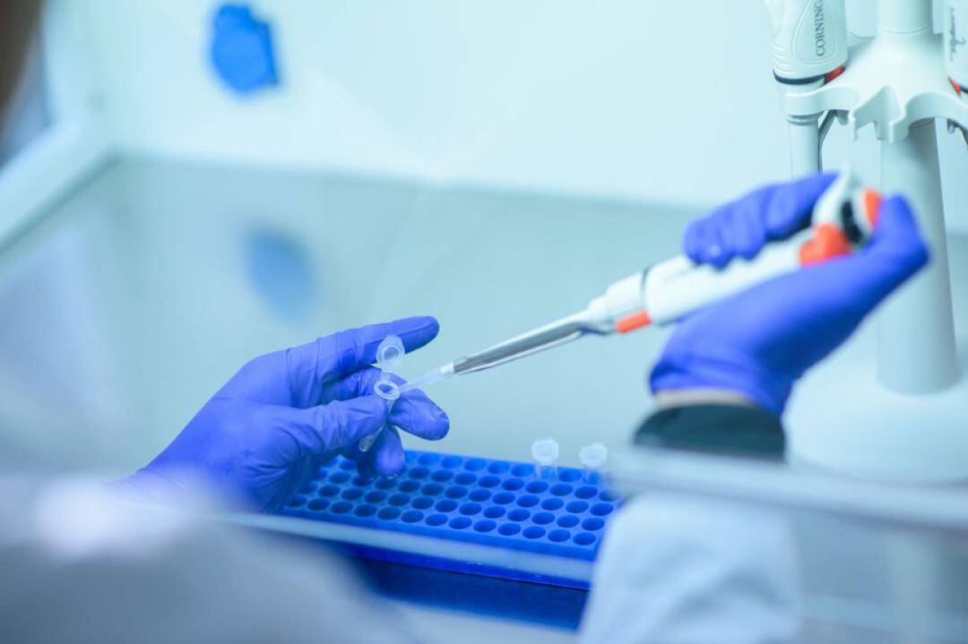 Laboratorio de análisis 