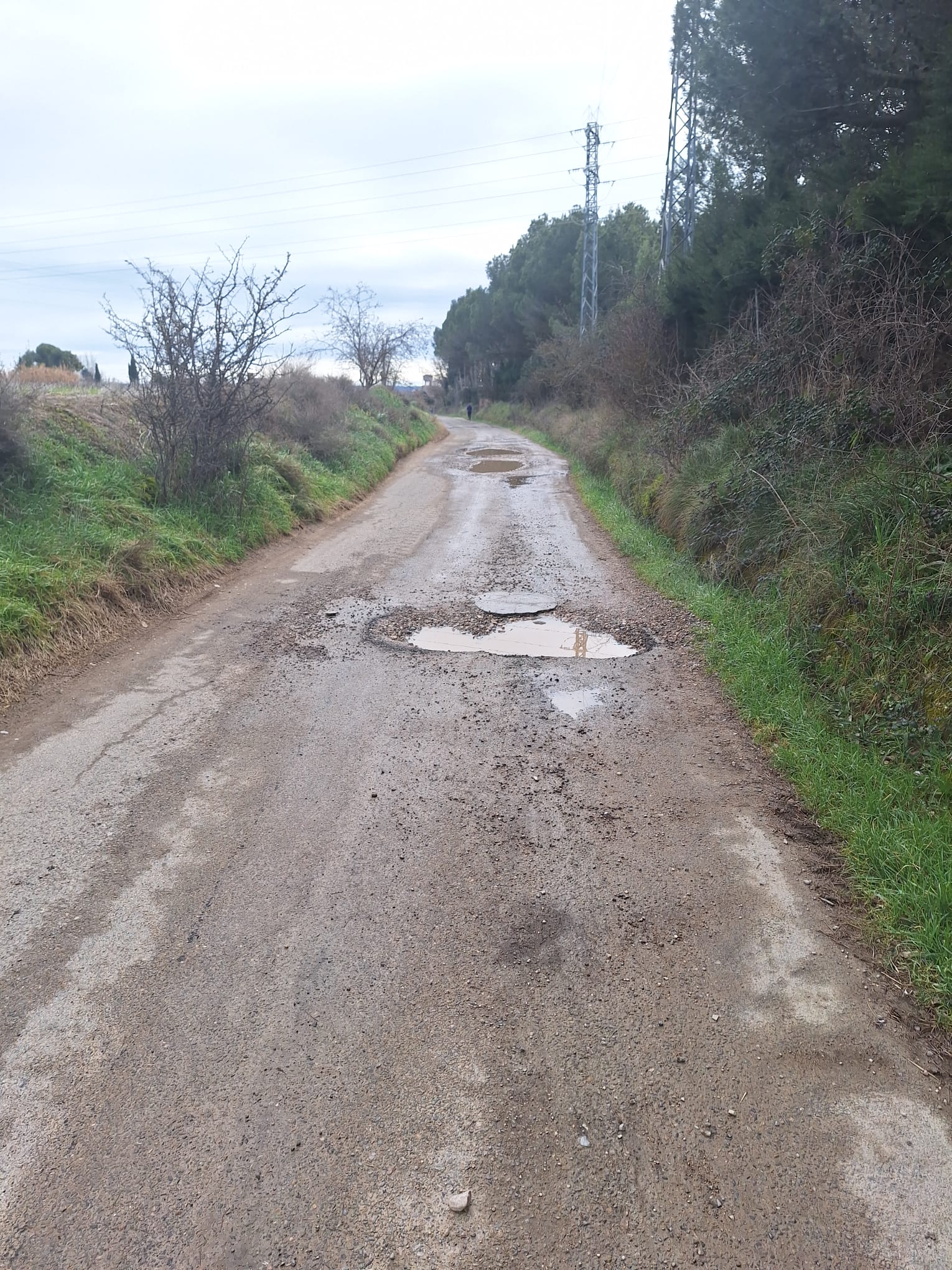 Impulso a la reparación de los caminos de la Cruz del Palmo y Alberca de Cortés