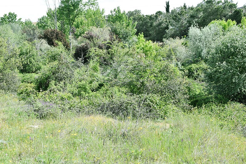 Parque del Terregal en Tres Cantos