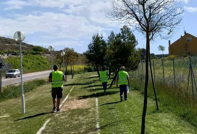 Voluntarios de la Asociación El Espadañal realizan el estudio de árboles en Cuéllar