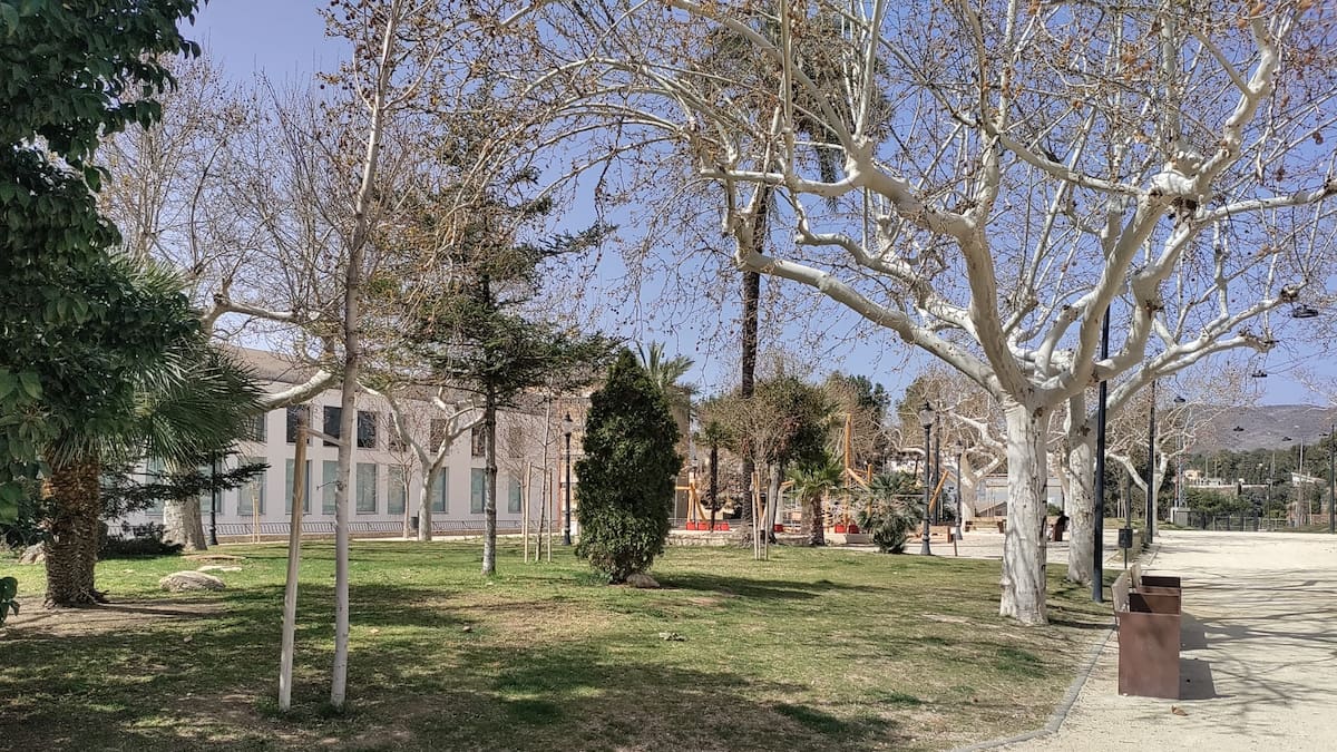 Entrevista a Sayo Gandia. Ampliació de les zones verdes, parcs i jardins d'Ontinyent