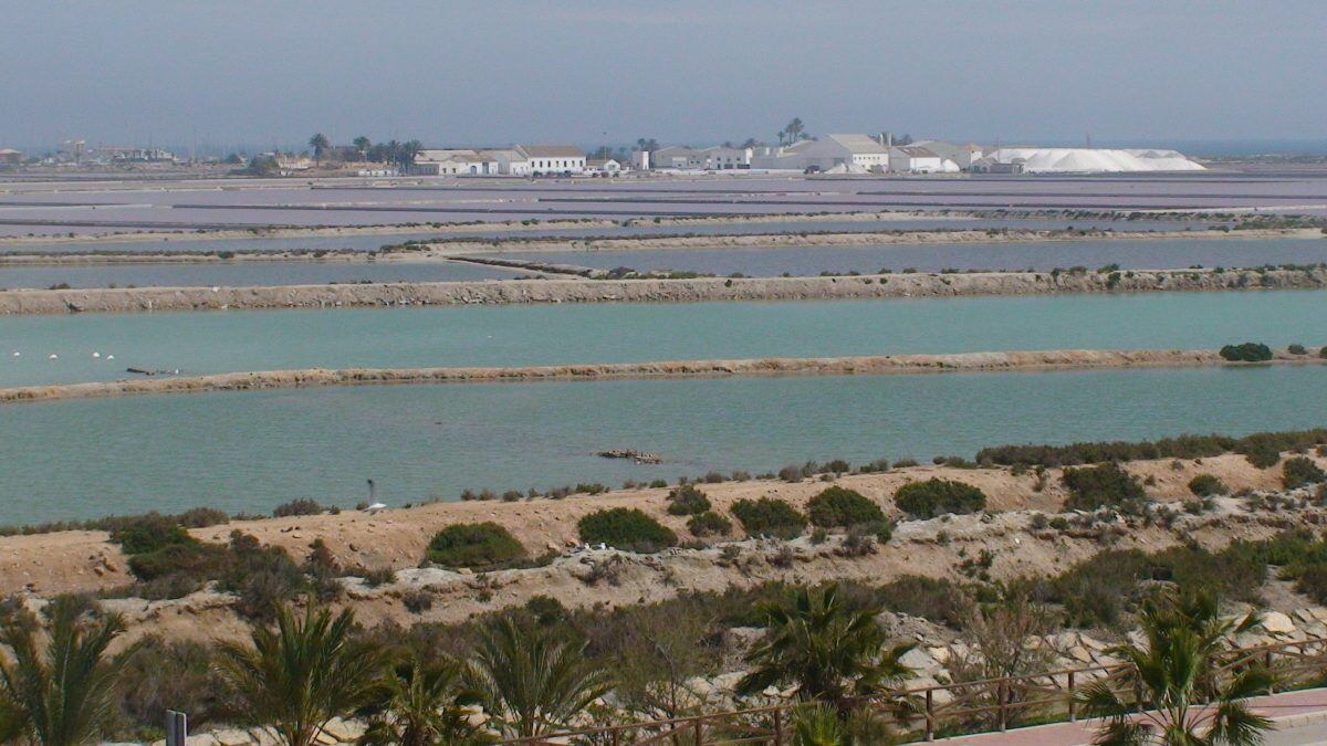 Salinas de San Pedro del Pinatar