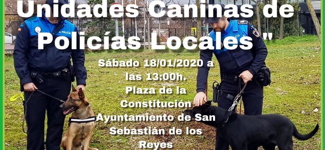 Cartel de la Exhibición Canina