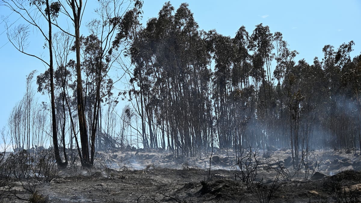 Portugal lucha contra el fuego con medios escasos y un territorio abandonado