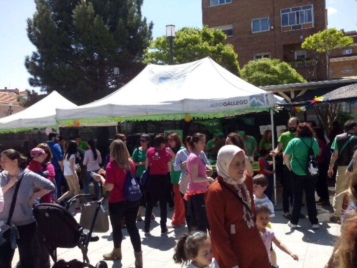 La oferta educativa es suficiente en el Alto Gállego pero “mejorable”