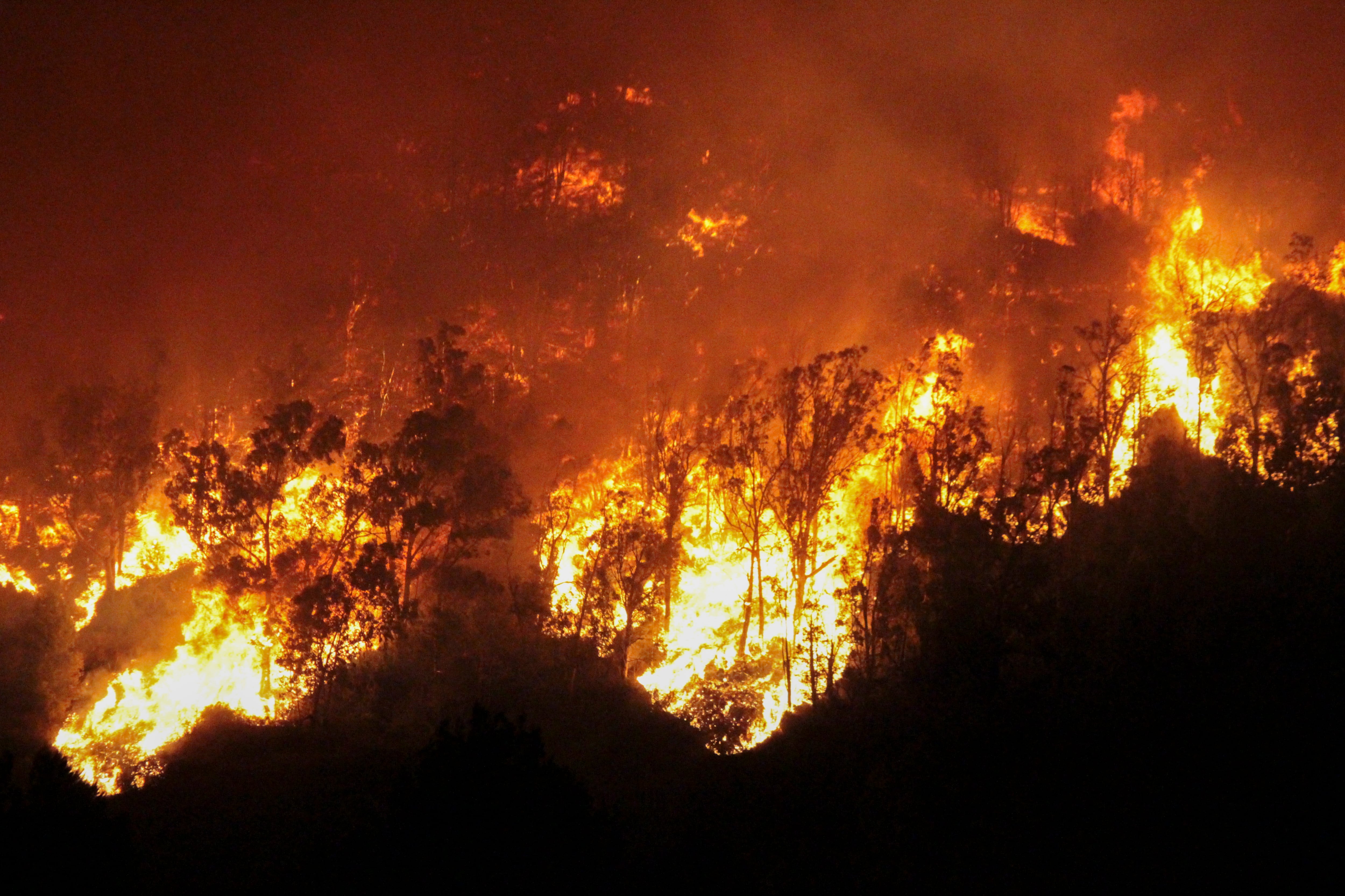 Incendio forestal en la zona de García Aldave, en Ceuta, a la altura del cuartel de la Legión.