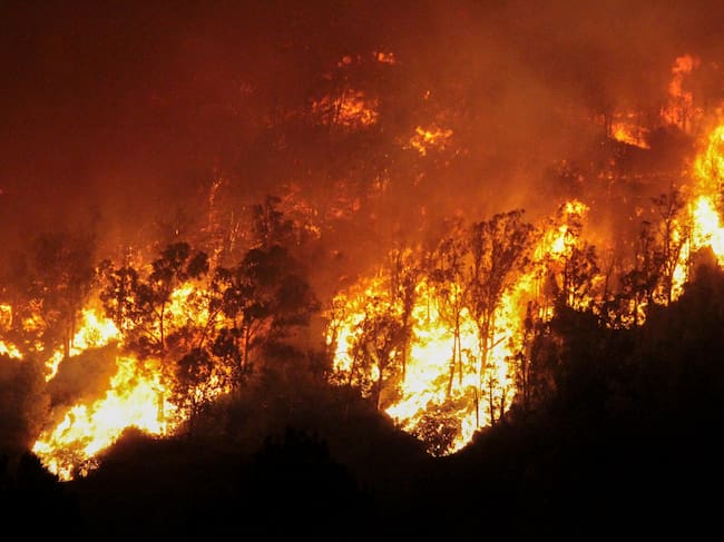 Incendio forestal en la zona de García Aldave, en Ceuta, a la altura del cuartel de la Legión.